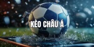 Kèo châu Á Bongvip - Cách đọc và vào tiền kèo siêu chuẩn xác
