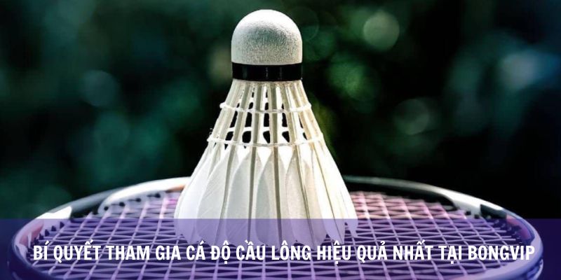 Bí Quyết Tham Gia Cá Độ Cầu Lông Hiệu Quả Nhất Tại Bongvip